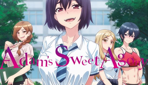 OceanVeil Announce English Dub For Adam's Sweet Agony